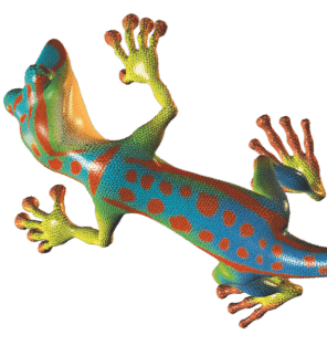 gecko-right